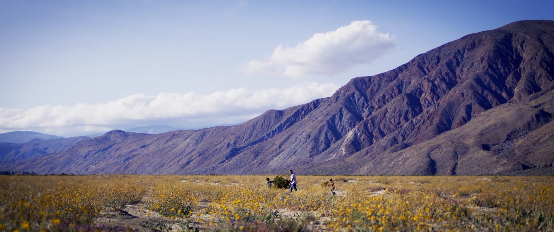 Anza-Borrego Desert State Park