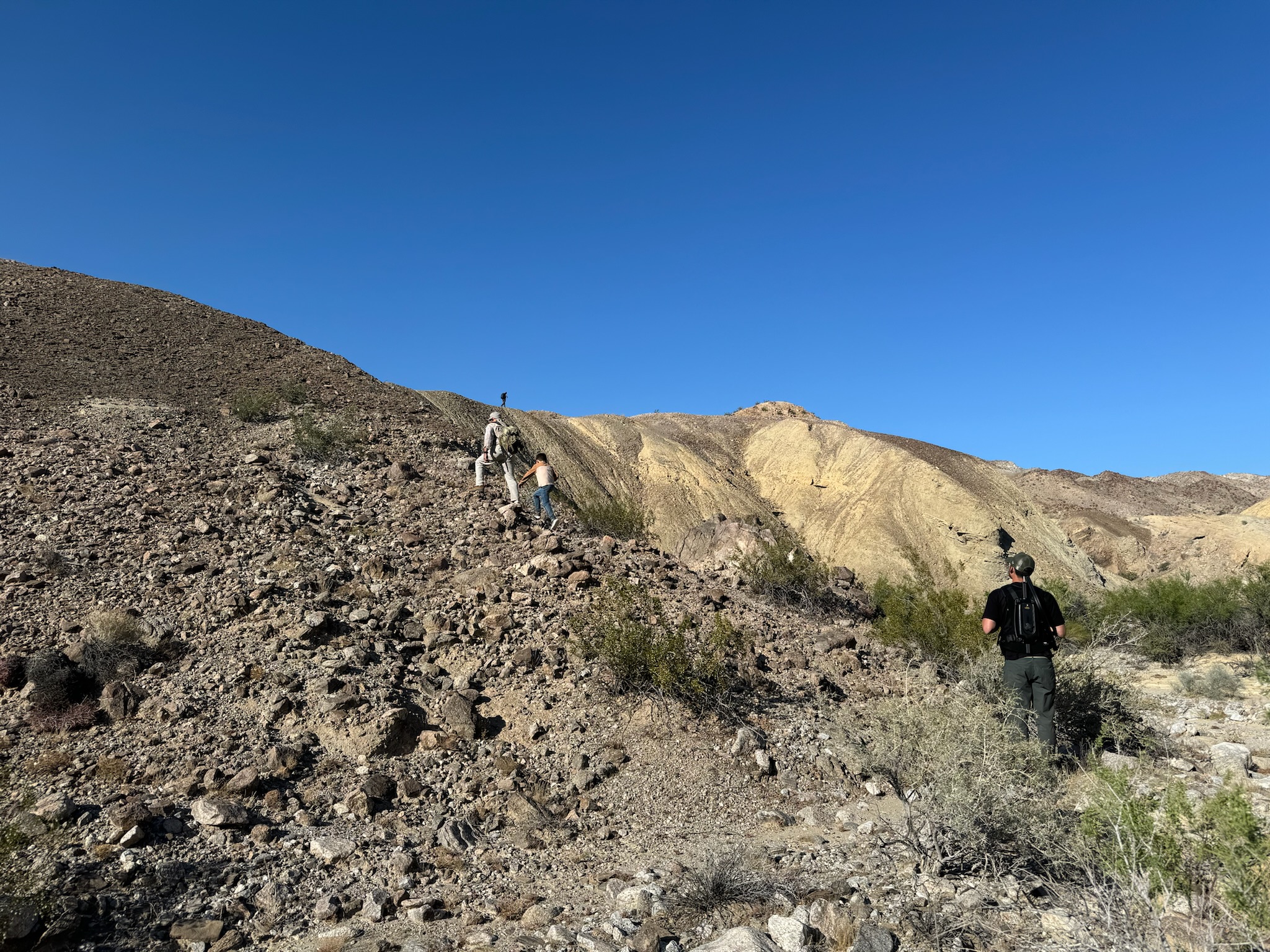 Desert crew spread across hillside