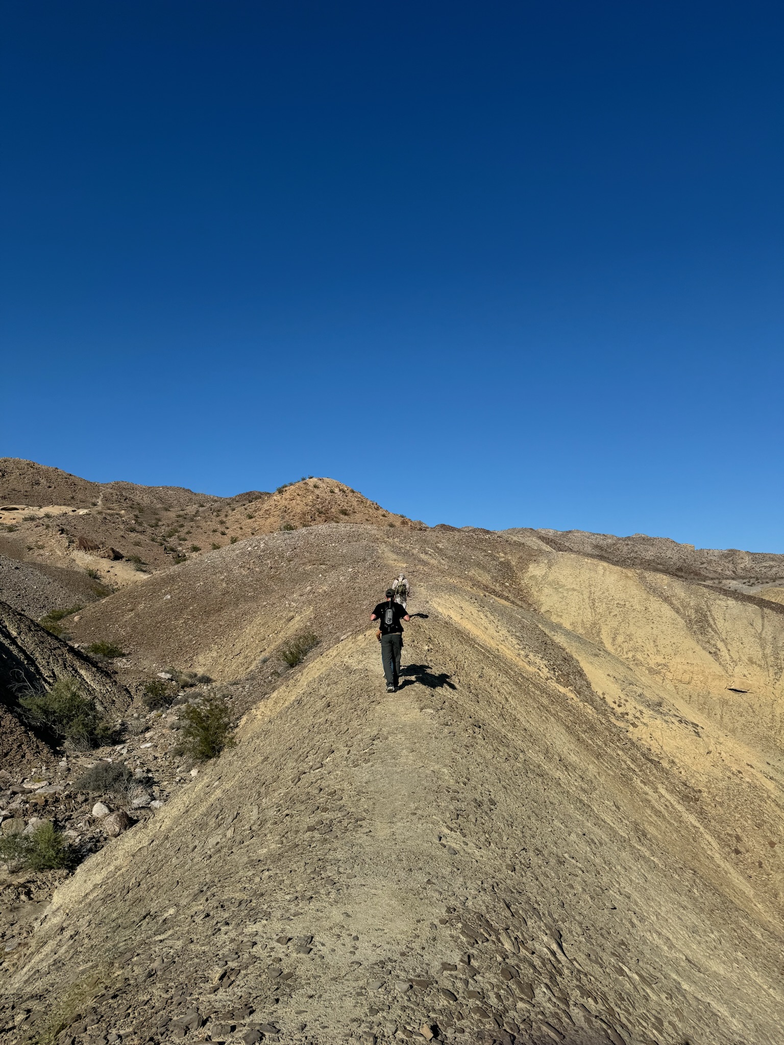 Crew member on desert hillside