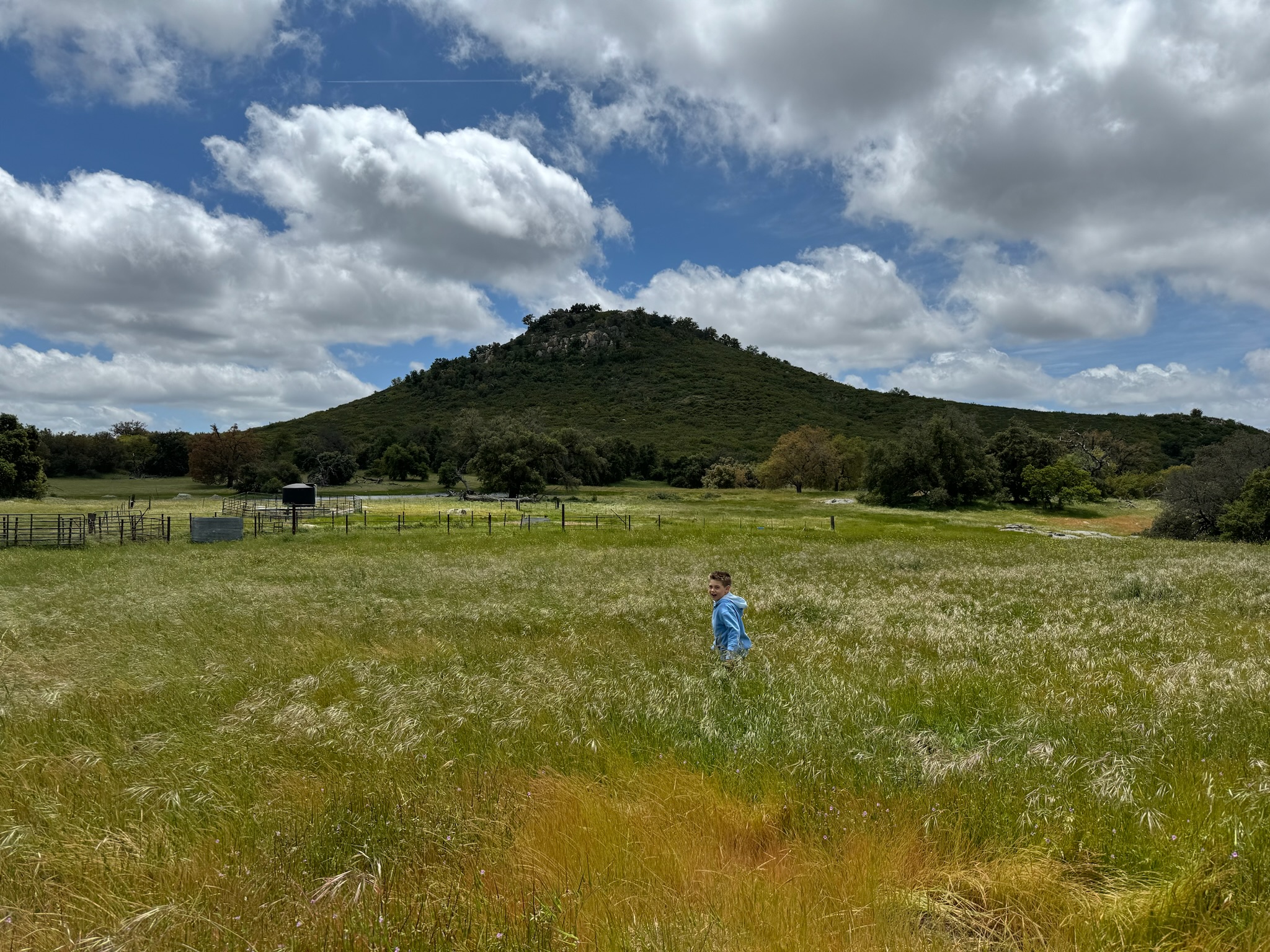 Filming in golden grasslands