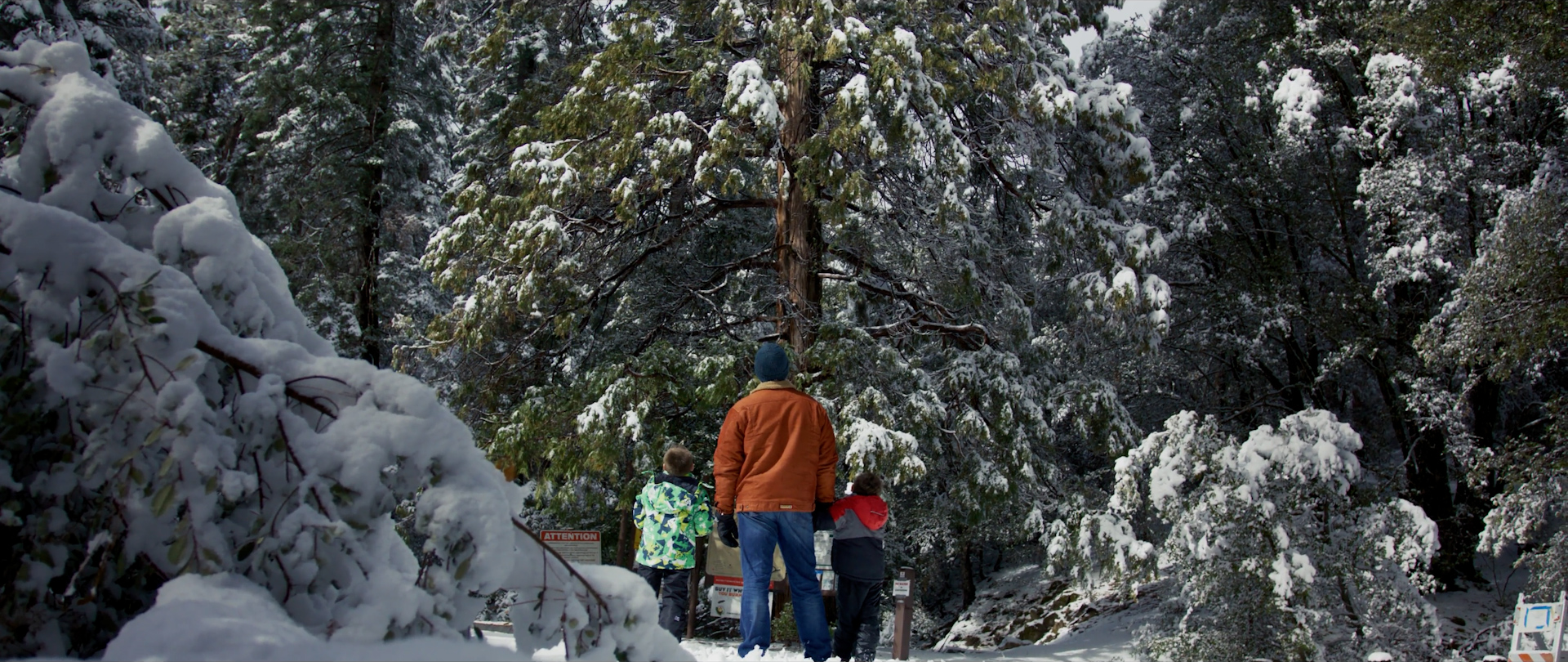 Palomar Mountain State Park